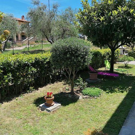 Goccia In Valdorcia Smart Home San Quirico d'Orcia Exterior photo